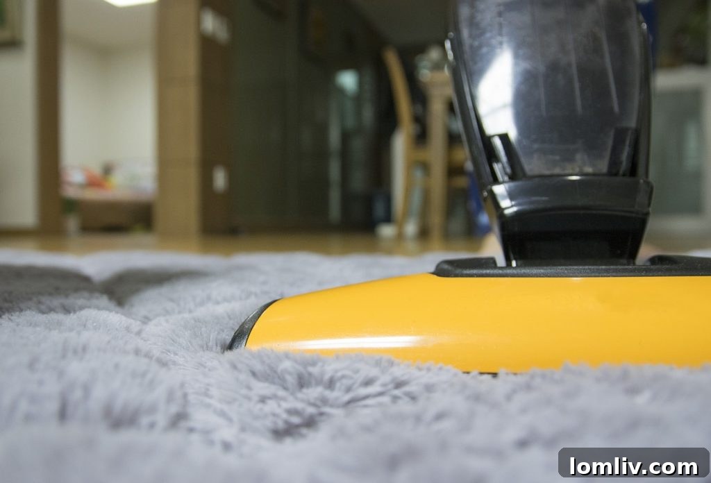 Hardwood Flooring vs Carpet