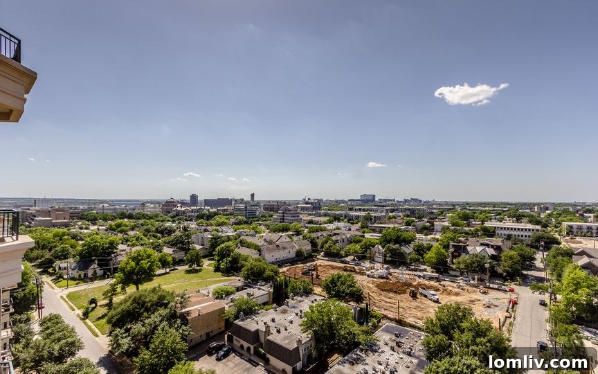 Downtown Dallas Skyline View from High-Rise