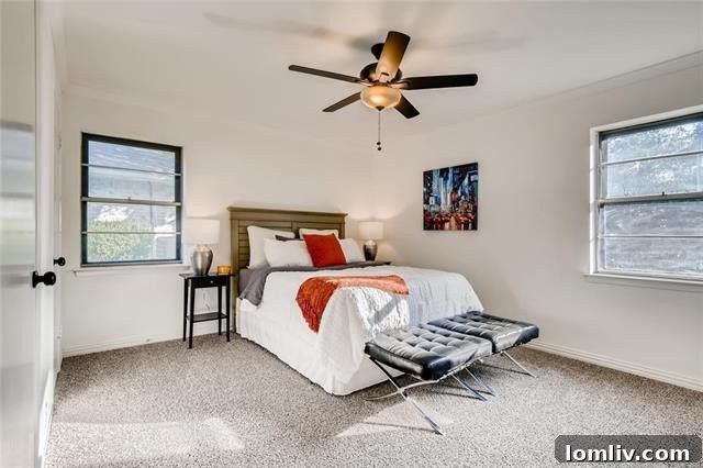 Encino Drive Fort Worth Modern Living Room Interior
