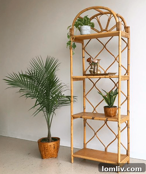 Vintage Rattan Shelf from The Eclectic Den