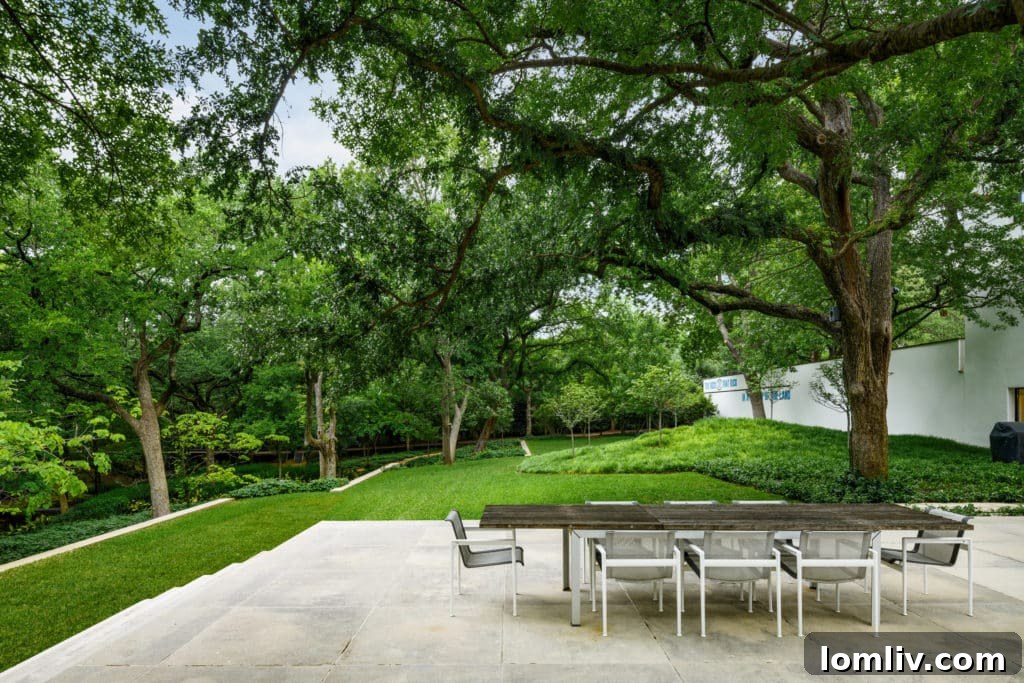 Edward Larrabee Barnes' Signature Modern Estate in Preston Hollow 10 Natural creek flowing through the property's landscape