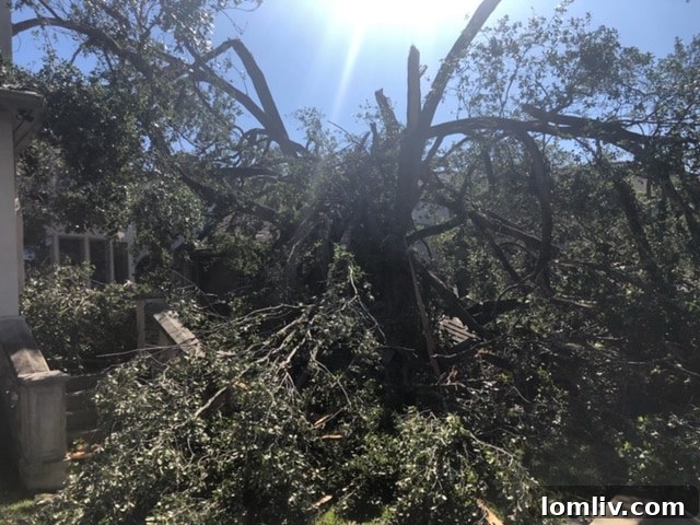 Inwood-Road-home-destruction
