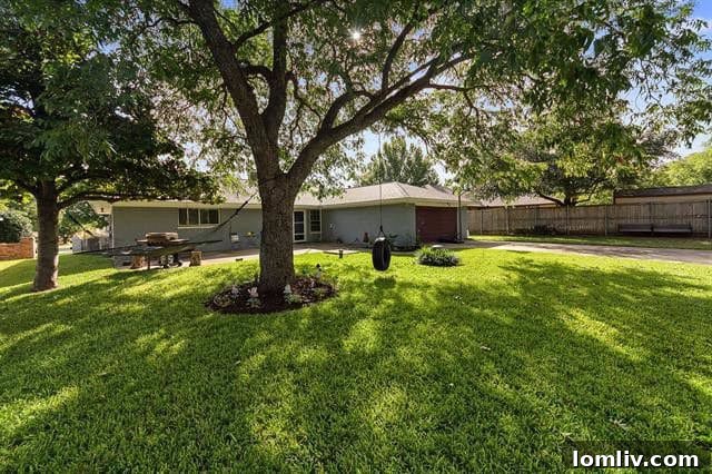 Fantastic Backyard with Tire Swing and Entertainment Space