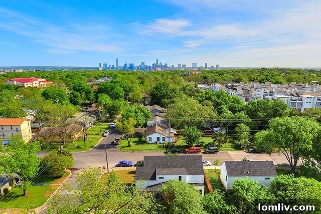 Downtown Austin skyline view from Stacy Lane neighborhood, highlighting close proximity.