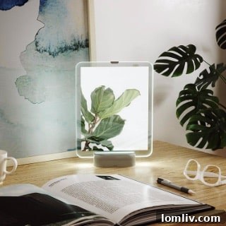 Umbra Glo Illuminated Glass Photo Display, LED lit picture frame