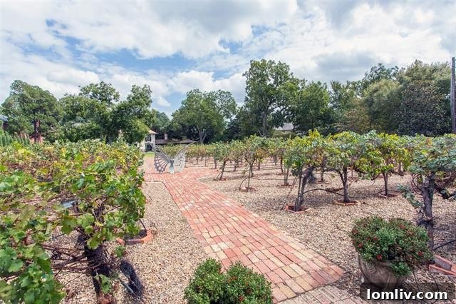 An inviting outdoor patio area, perfect for al fresco dining or simply enjoying the tranquil views of the vineyard.