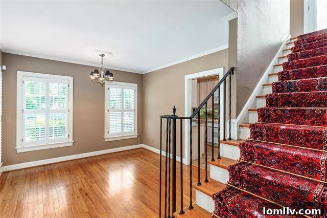 Kessler Park's Holiday Surprise: The Splurge Versus The Smart Steal 9 Charming dining area with crown molding in Kessler Park Colonial home