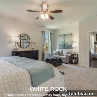 Community Amenities in a DR Horton Planned Community
