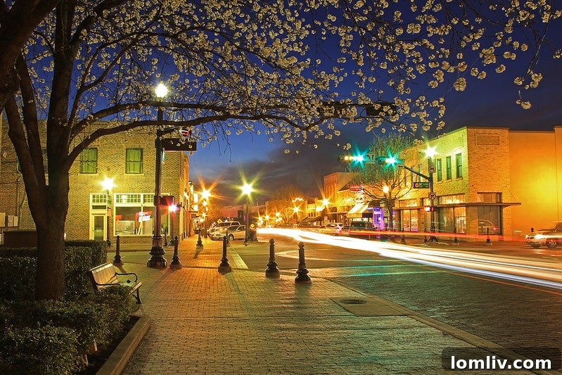 Plano, Texas - A safe and vibrant community for residents and businesses.