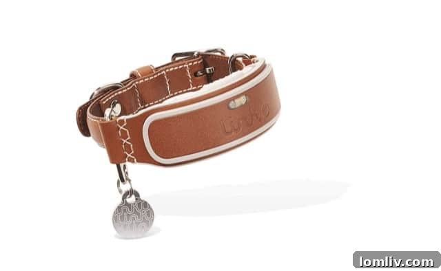 Link AKC Smart Dog Collar with GPS