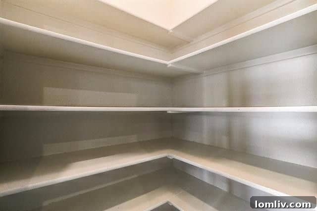 Spacious and Organized Pantry