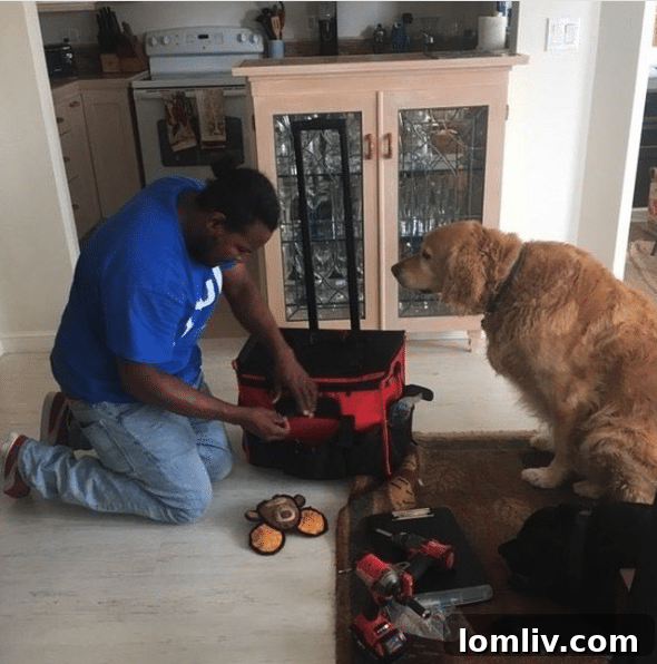 Puls Qualified Technicians