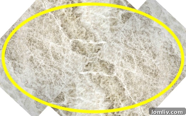 Onyx Almond Stone for Penthouse Entry Medallion