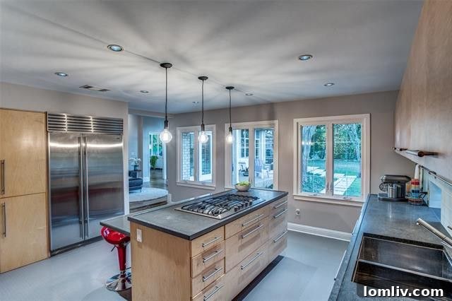 Gourmet kitchen with island and high-end appliances at 8463 Santa Clara Drive