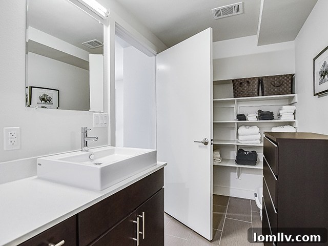 Modern Bathroom with Storage