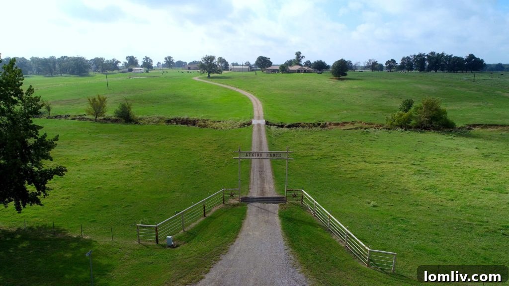 Expert Farmland Real Estate Consultant