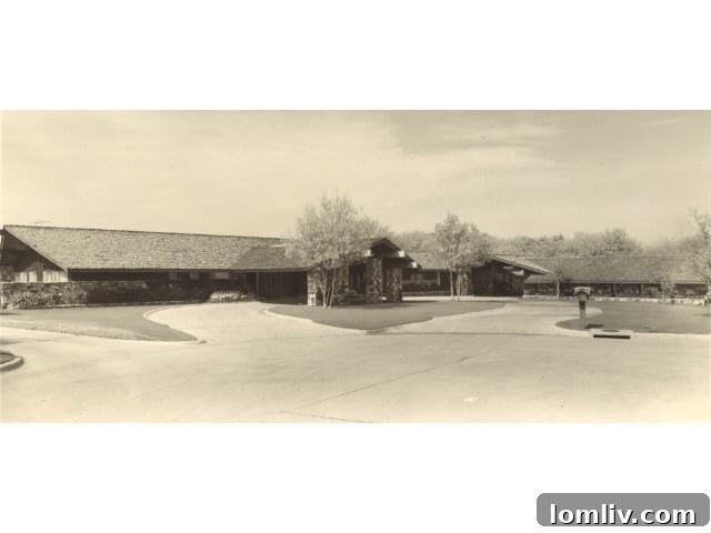 Interior view of the Lobello House, highlighting its distinctive design and use of natural materials.