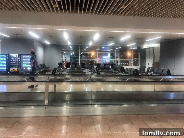 An uncrowded airport terminal, a momentary reprieve before chaos.