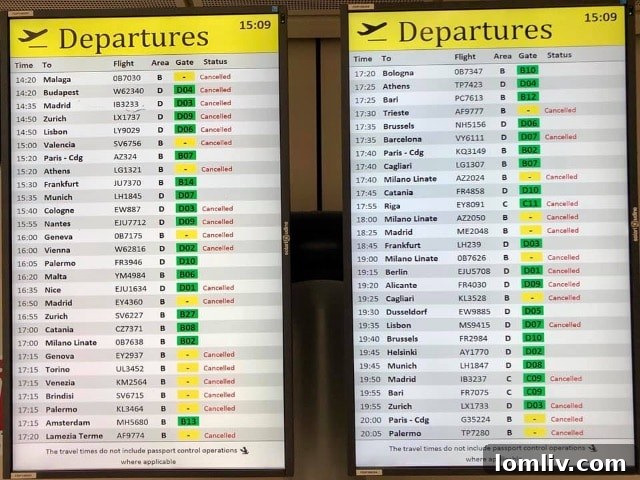 A crowded airport terminal during the initial travel panic.