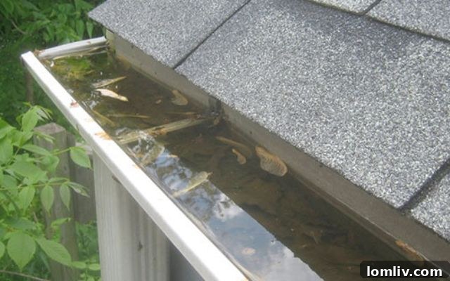 Clean Gutters