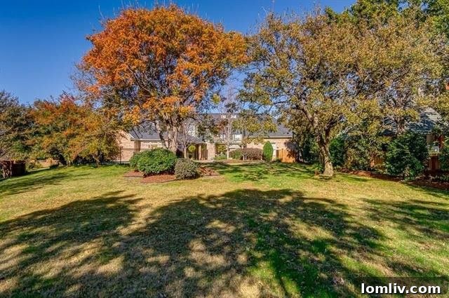 Private-Pool-Colleyville-Backyard