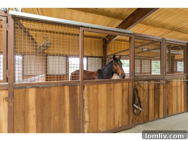 12-Stall Horse Barn - Covered Riding Arena Texas