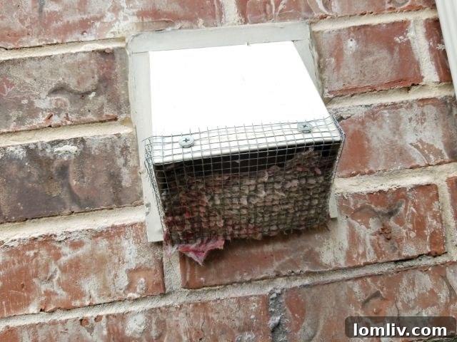 Close-up of a dryer vent connection, showing potential areas for lint buildup and disconnections.