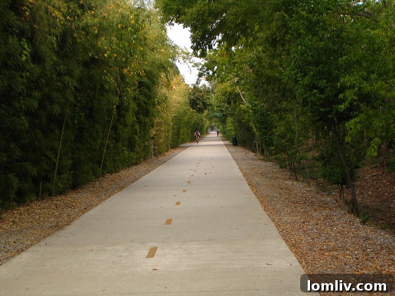 Katy Trail Dallas during pandemic, empty trail with social distancing