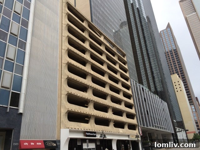 Wilson Building Details - Dallas History