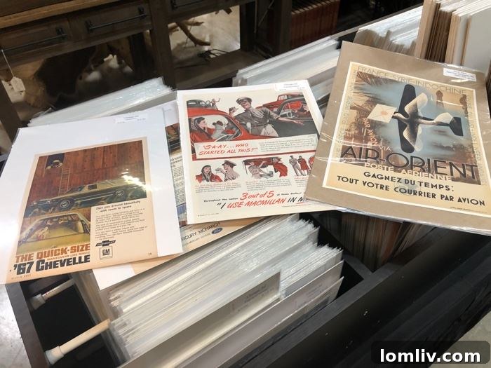 An artistic arrangement of decorative accessories and a diverse book collection, showcasing the unique home decor items available at the Dallas estate sale.