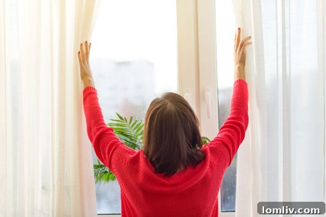Brightly lit living room showcasing large windows and natural light, ideal for home photography