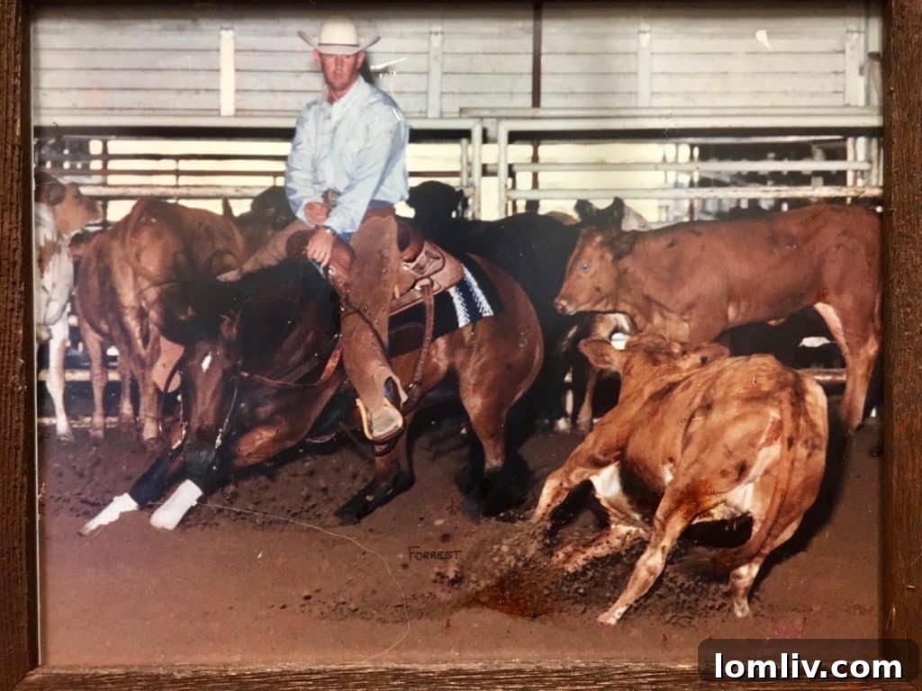 Johnny Purselley's Equestrian Excellence on Darling Shorty
