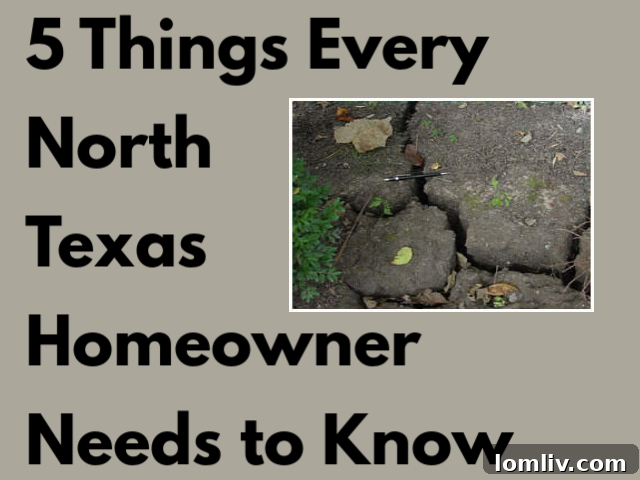 Cracked soil in North Texas indicating expansive clay issues and potential foundation problems