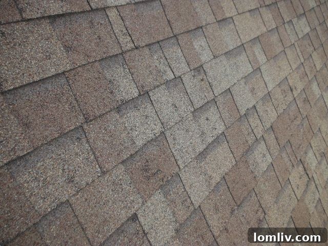 Residential roof showing clear signs of hail damage, typical after North Texas storms
