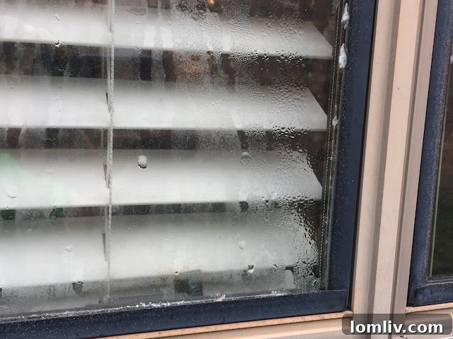 Damaged window seal with visible moisture accumulation between glass panes, a common result of DFW humidity