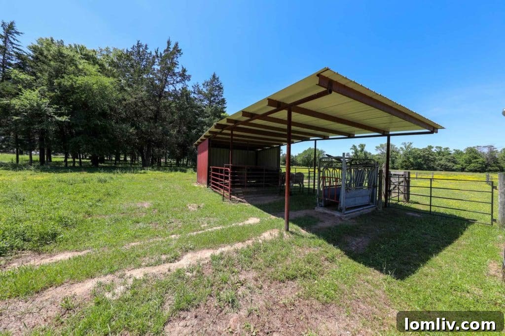 Livestock working pens on Shoemake Ranch