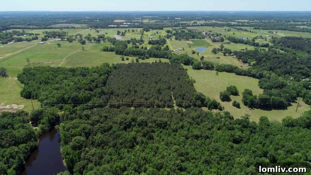 Expansive pastures and open land at Shoemake Ranch