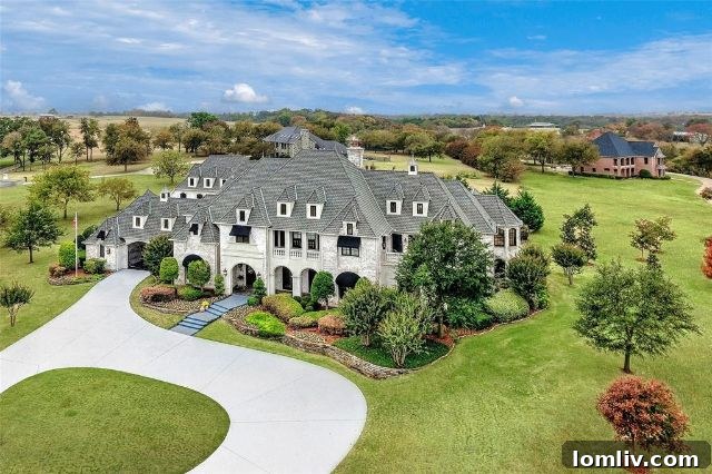 233 Woodland Hills Drive - Transitional Luxury Home in Sherman
