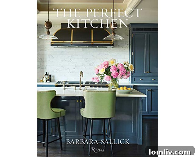 The Perfect Kitchen by Barbara Sallick book cover