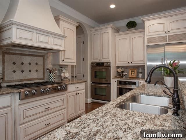 Gourmet kitchen details in a luxury Fort Worth residence