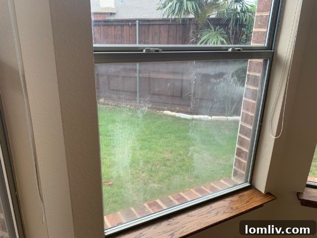 Making the Most of Your Home Inspection Report 3 Close-up of a broken thermal seal in a double-pane window, showing internal condensation.