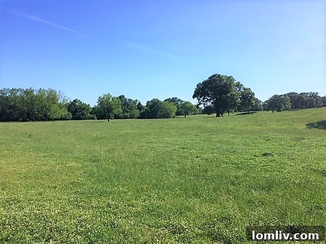 Expansive East Texas Ranch Land