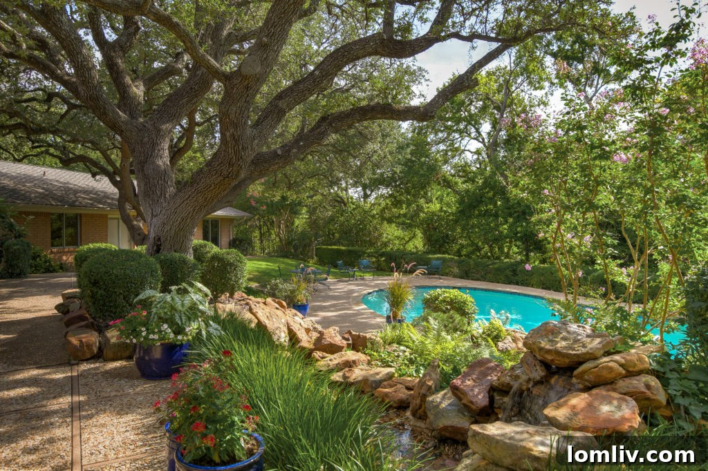 Shaded pool at 4001 Hildring, designed to incorporate existing trees for natural cooling and beauty.