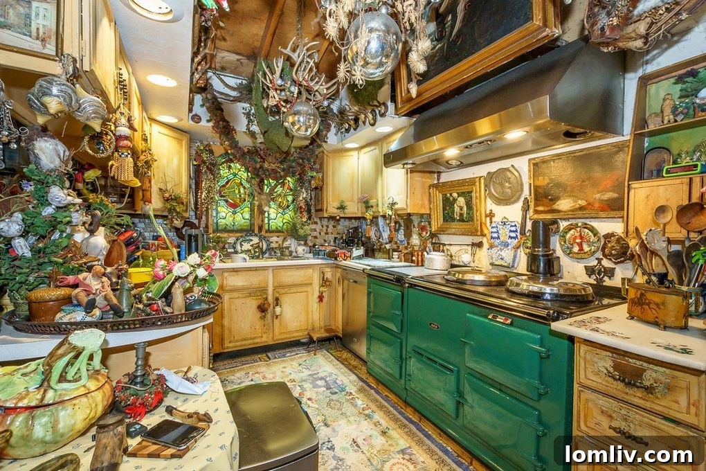 Chaotic and Unconventional Kitchen Design in Chicago House