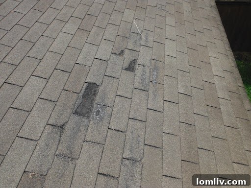 hail-damage