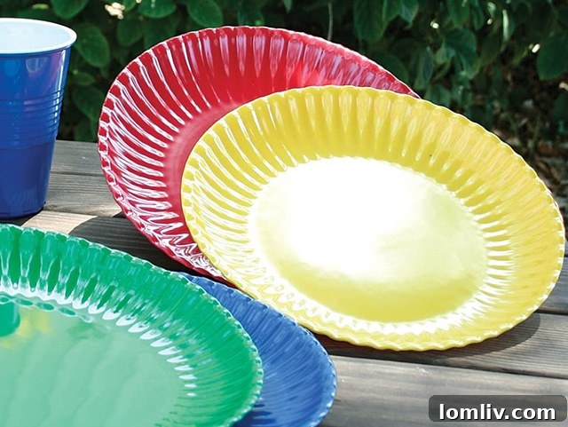 BW Picnic Plates and Cups Colorful Reusable Melamine