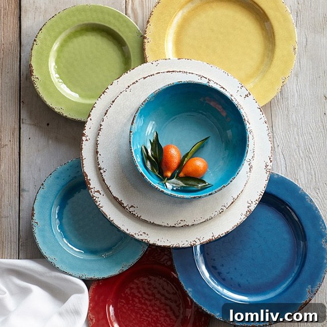 Williams Sonoma Rustic Melamine Place Setting