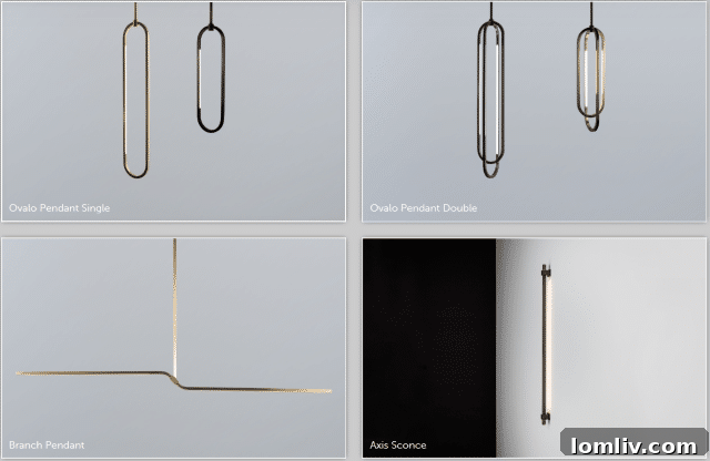 Ovalo Pendant and Branch Sconce, innovative designs by Boyd Lighting