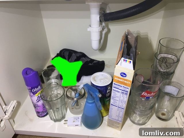 A cluttered and messy kitchen cabinet filled with various unorganized items including dirty glasses, toiletries, and an indistinct blurred object, highlighting poor home staging.