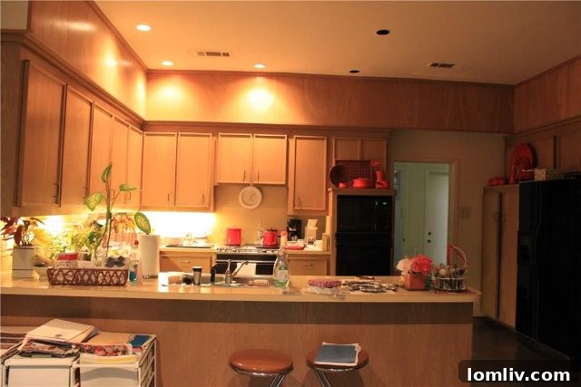 Kitchen Before Renovation